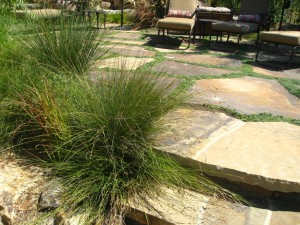 natural flagstone pool steps and deer grass by shirley bovshow