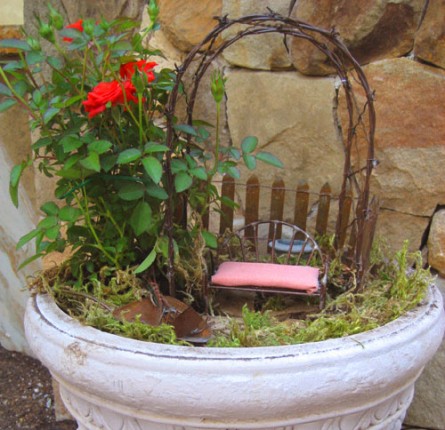 Miniature rose garden in a pot